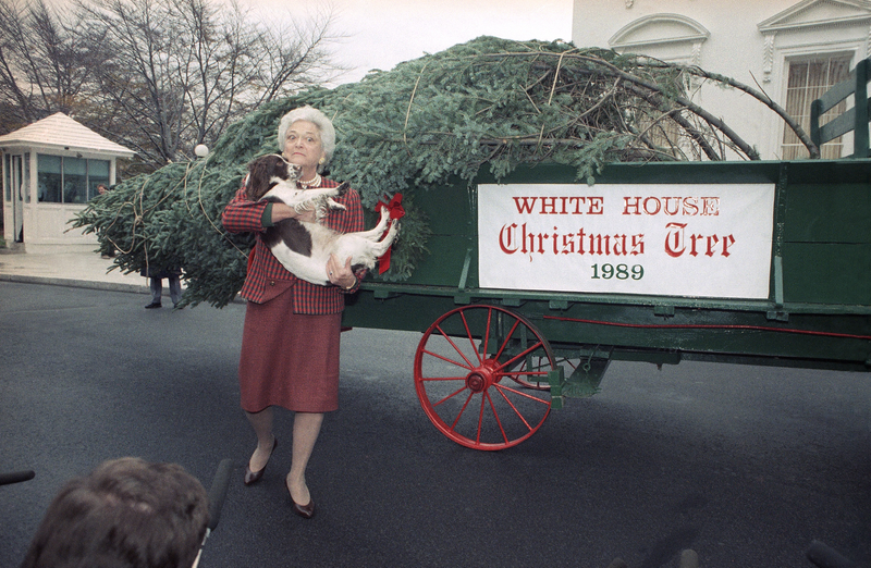Illustration for article titled 70 Years of First Ladies Standing in Front of Christmas TreesÂ